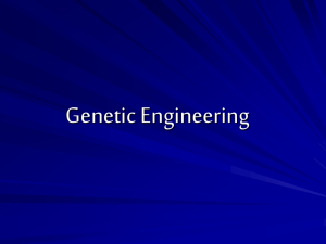 Topic 3 Genetic Engineering