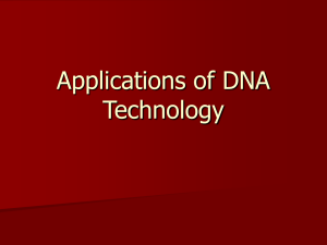 Topic 4 Applications of DNA