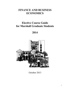 FINANCE AND BUSINESS ECONOMICS  Elective Course Guide