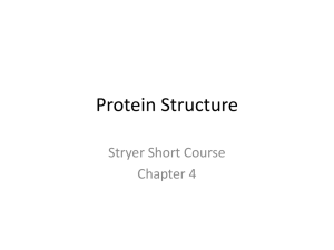 Protein Structure Stryer Short Course Chapter 4