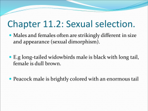Chapter 11b Sexual Selection