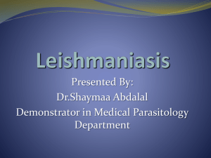 Leishmaniasis Lab.pptx