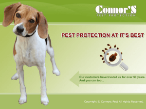 Pest Protection at it's Best