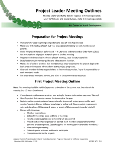 Project Leader Meeting Outlines