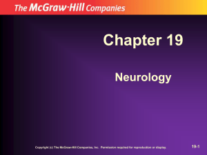 Chapter 19 Neurology 19-1