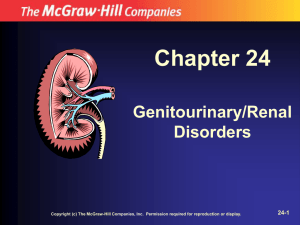 Chapter 24 Genitourinary/Renal Disorders 24-1