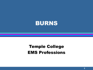 BURNS Temple College EMS Professions 1