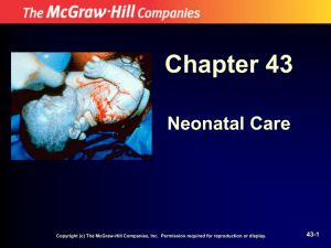 Chapter 43 Neonatal Care 43-1