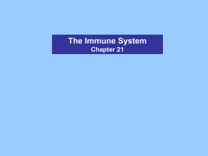 The Immune System Chapter 21