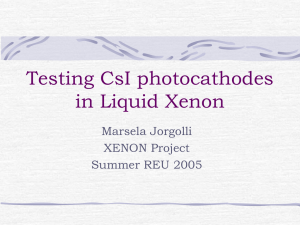 Testing CsI photocathodes in Liquid Xenon Marsela Jorgolli XENON Project