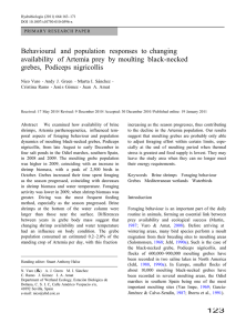 Behavioural   and  population   responses ... availability   of Artemia  prey  by ...