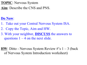 CNS and PNS