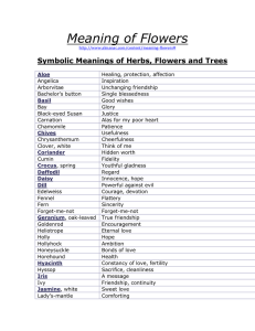 Meaning of Flowers Symbolic Meanings of Herbs, Flowers and Trees