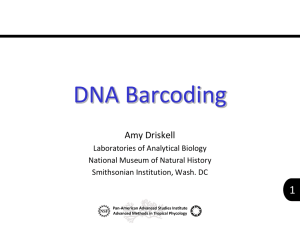 20 DNA Barcoding