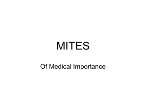 Mites of Medical Importance