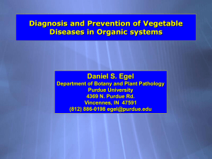 Diagnosis and Prevention of Vegetable Diseases in Organic Systems