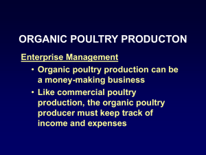 Organic Poultry Production - Enterprise