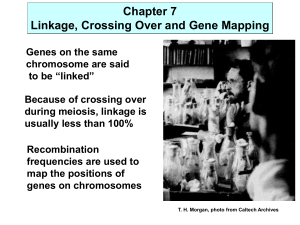 Chapter 7 Linkage, Crossing Over and Gene Mapping