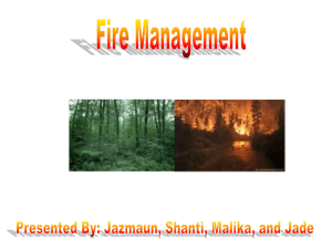 2 FireManagement-FACE-2007