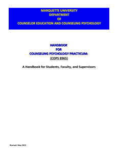 Doctoral practicum handbook