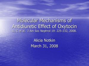 Molecular Mechanisms of Antidiuretic Effect of Oxytocin