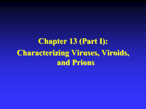 Chapter 13: Characterizing and Classifying Viruses, Viroids, and Prions (Part I)