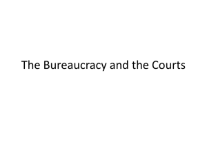 The Bureaucracy and the Courts.pptx
