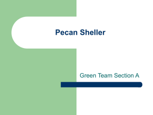 Pecan Sheller Green Team Section A