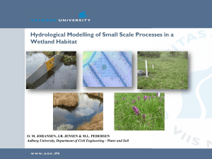 Hydrological Modelling of Small Scale Processes in a Wetland Habitat