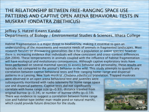 Download THE RELATIONSHIP BETWEEN FREE-RANGING SPACE USE PATTERNS AND CAPTIVE OPEN ARENA BEHAVIORAL TESTS IN MUSKRAT (ONDATRA ZIB