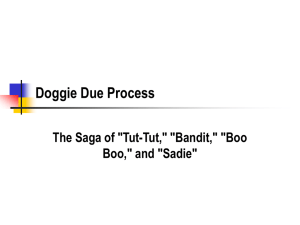 Doggie Due Process The Saga of &#34;Tut-Tut,&#34; &#34;Bandit,&#34; &#34;Boo Boo,&#34; and &#34;Sadie&#34;