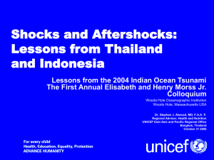 Shocks and Aftershocks: Lessons from Thailand and Indonesia