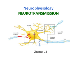 3. Neurotransmission WEB