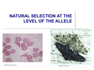 Powerpoint Presentation: Natural Selection and Alleles