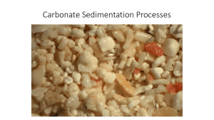 Carbonate Sedimentation Processes
