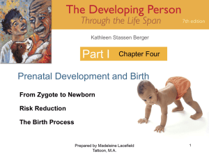 Part I Prenatal Development and Birth Chapter Four From Zygote to Newborn
