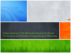 Carbon Chemistry: The Molecular Diversity of Life and