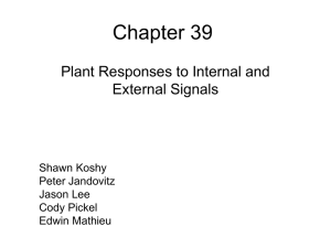 Chapter 39 Plant Responses to Internal and External Signals Shawn Koshy