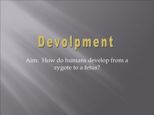 Aim:  How do humans develop from a