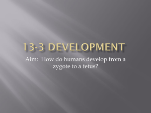 Aim:  How do humans develop from a