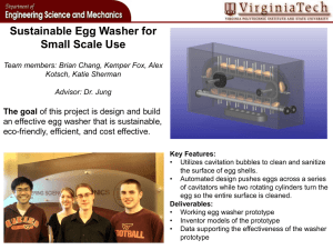 Sustainable Egg Washer for Small Scale Use The goal