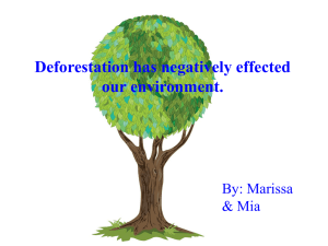 Deforestation has negatively effected our environment. By: Marissa &amp; Mia