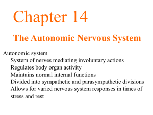 Chapter 14 The Autonomic Nervous System