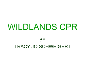 WILDLANDS CPR BY TRACY JO SCHWEIGERT