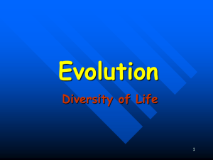 Evolution Diversity of Life 1