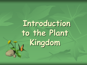 Introduction to the Plant Kingdom 1