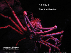 7.3  day 3 The Shell Method Japanese Spider Crab