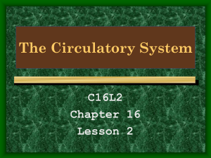 The Circulatory System C16L2 Chapter 16 Lesson 2