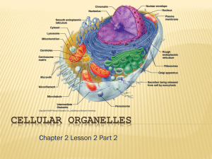 CELLULAR ORGANELLES Chapter 2 Lesson 2 Part 2