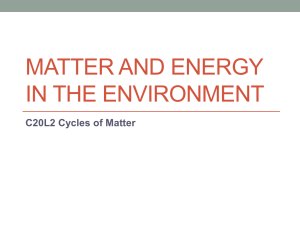 MATTER AND ENERGY IN THE ENVIRONMENT C20L2 Cycles of Matter